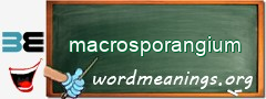 WordMeaning blackboard for macrosporangium